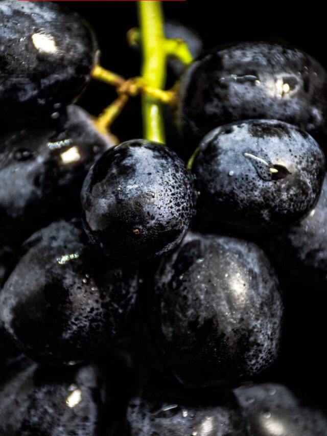 काले रंग के अंगूर का जूस गर्मी के दिनों में पीने के मिलते हैं। ये 7 बेहतरीन फायदे