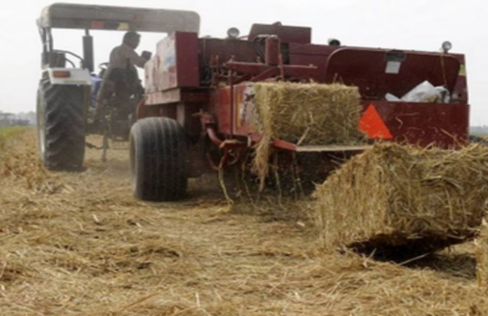 punjab stubble burning