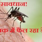 Dengu