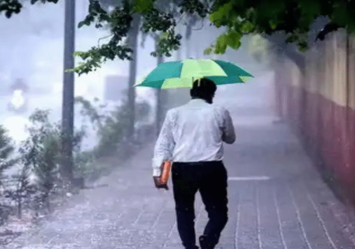 punjab weather