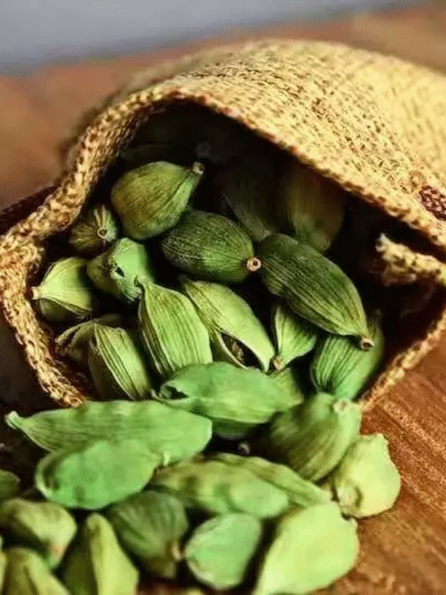 स्ट्रेस को करना है दूर तो रोज चबाए हरी इलायची