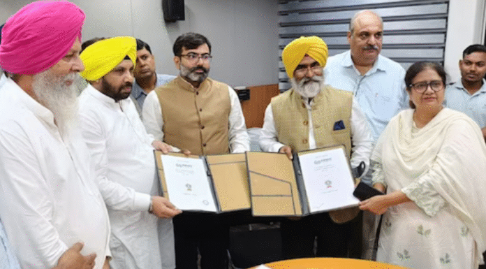 punjab news