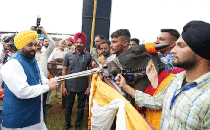 Punjab news