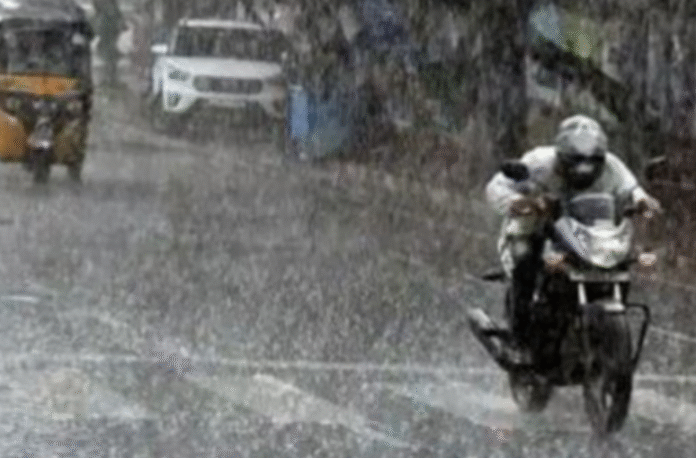punjab weather