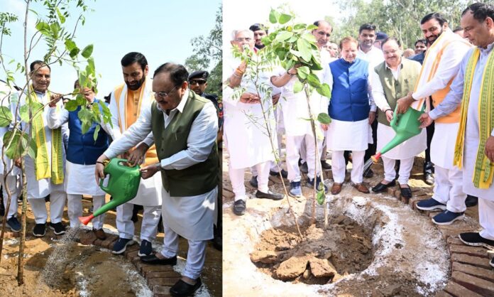 केंद्रीय स्वास्थ्य मंत्री नड्डा ने मुख्यमंत्री सैनी के साथ मिलकर नमो वन में पौधा रोपित कर पर्यावरण संरक्षण का संकल्प लिया।