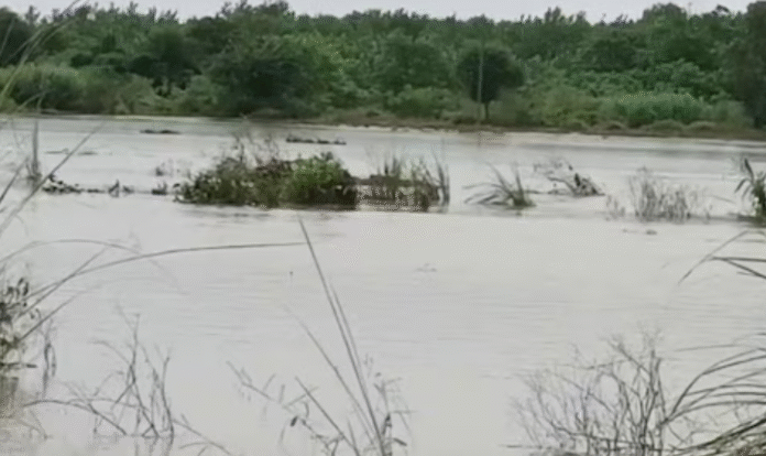 punjab flood