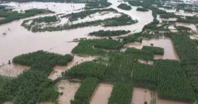 Punjab flood news