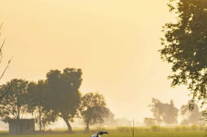punjab weather