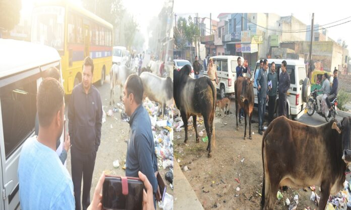 स्वच्छता को लेकर डीसी ने किया नगर का औचक निरीक्षण