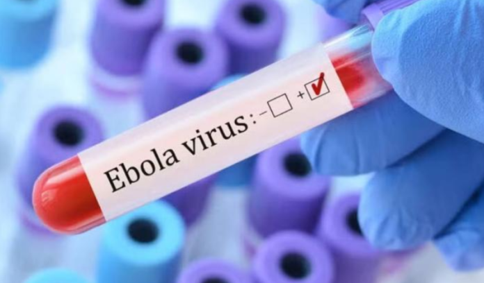 ebola news