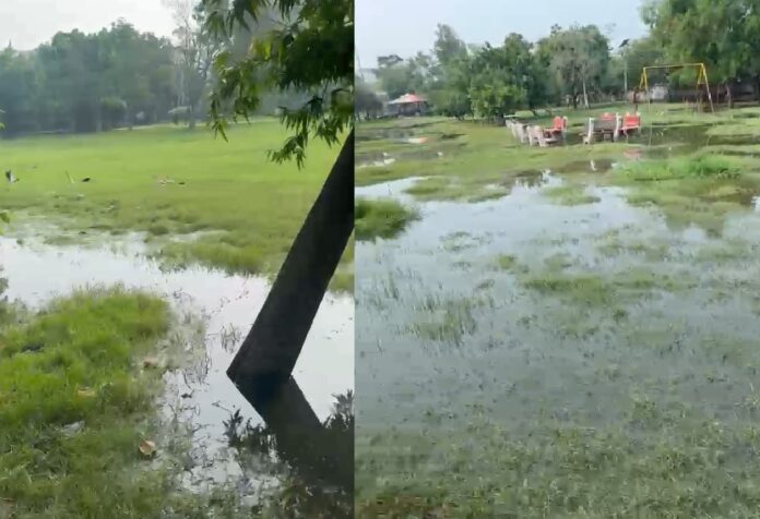 ताऊ देवीलाल पार्क में जलभराव।