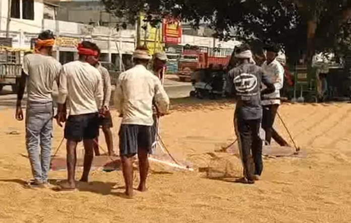 Punjab news