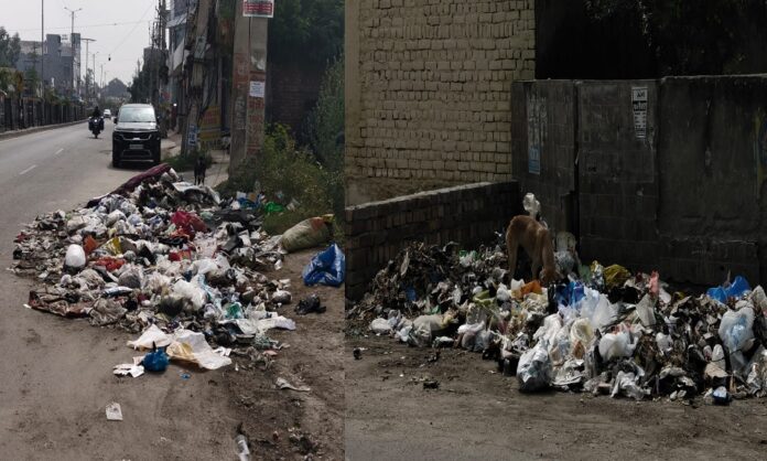यह कूड़े का अंबार, बदबू से सांस रोककर गुजर रहे लोग