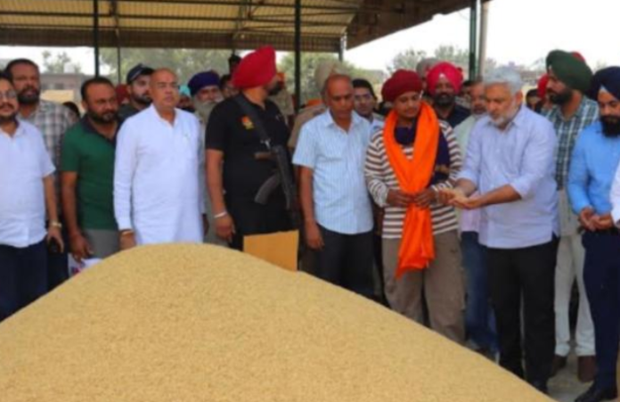 Punjab news