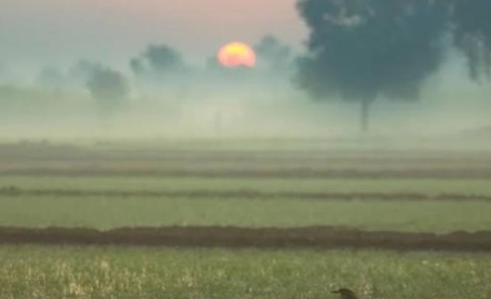 Punjab weather